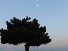 -香山公园