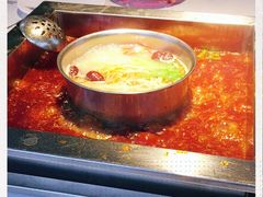 -二荆条·蜀鲜汇城市森林火锅