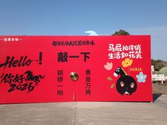 -上海都市菜园