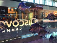 -迪拜水族馆及水下动物园