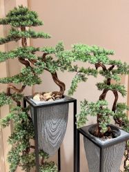 -HQ半永久纹绣纹眉