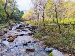 -玉渡山自然风景区