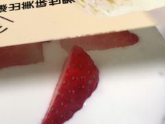 -糕小爱动物奶油生日蛋糕定制(晋江万达店)