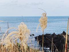 -龙头岩(Dragon Head Rock)