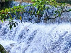 -西岭雪山大飞水景区