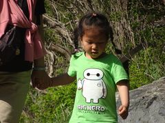 -阳台山自然风景区