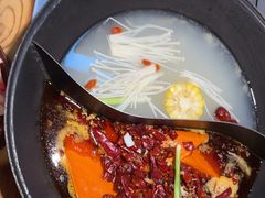 -阳阳老火锅(小南门店)