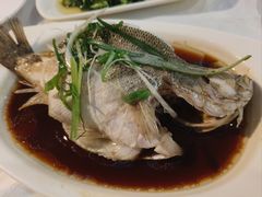 -云中小雅