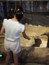 -酷嗒动物文化乐园(cutezoo西溪乐天城店)