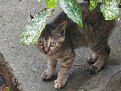 -狼山风景名胜区