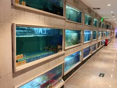 水产区-顺峰(农展馆店)
