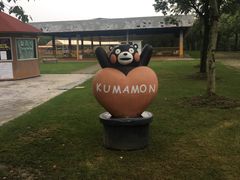 -上海海湾国家森林公园