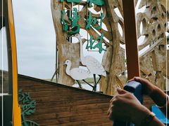 -北海金海湾红树林生态旅游区