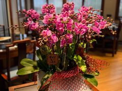 -大宅院(西溪路店)