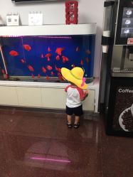 -圣瑞医疗上海圣恩儿科门诊部