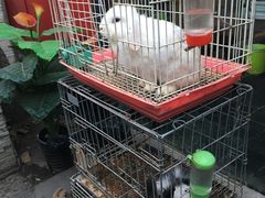 -锦尚阁烤鱼•天津菜(宣武门胡同店)