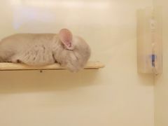 -龙猫仔乐园(惠福东路店)