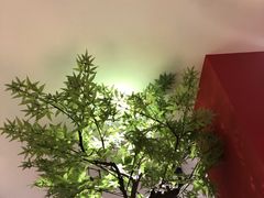 -季季红火锅(长沙步行街店)