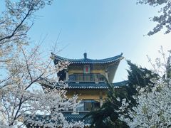 -东湖听涛景区