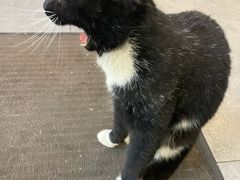 -山水肠粉(盐田店)