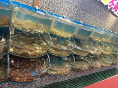 水产区-仙螺岛海鲜自助餐厅(总店)
