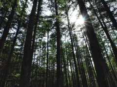 -洛阳白云山景区