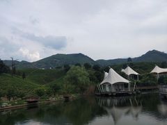 -帐篷客·溪龙茶谷度假酒店