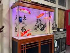 -中卫御苑福膳·养生局(圆明园店)
