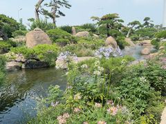 -罗红摄影艺术馆