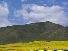 -扁都口生态休闲旅游区