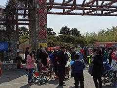 -塘沽森林公园