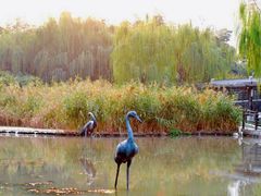 -苏州河梦清园环保主题公园
