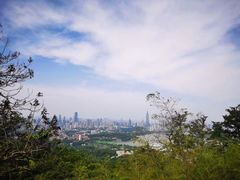 -紫金山天文台