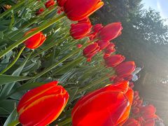 -长春公园(普阳街道)