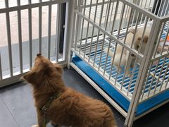 -熊小胖宠物生活馆(天华园店)