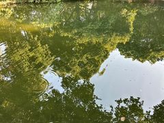 -成都市活水公园