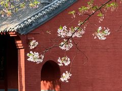 -洛阳白马寺