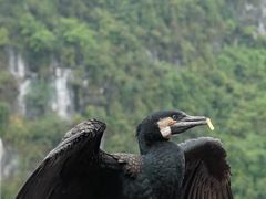 -桂林兴坪漓江