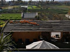 -翠田Green Field Kitchen