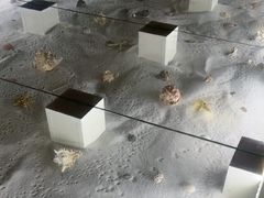 -青岛贝壳博物馆