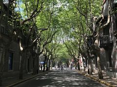-上海波特曼丽思卡尔顿酒店