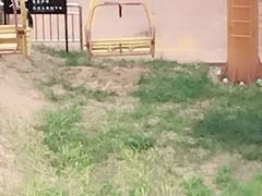 游乐设施-古柏渡飞黄旅游区