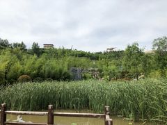 -白鹿原影视城
