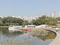 -新江湾城公园