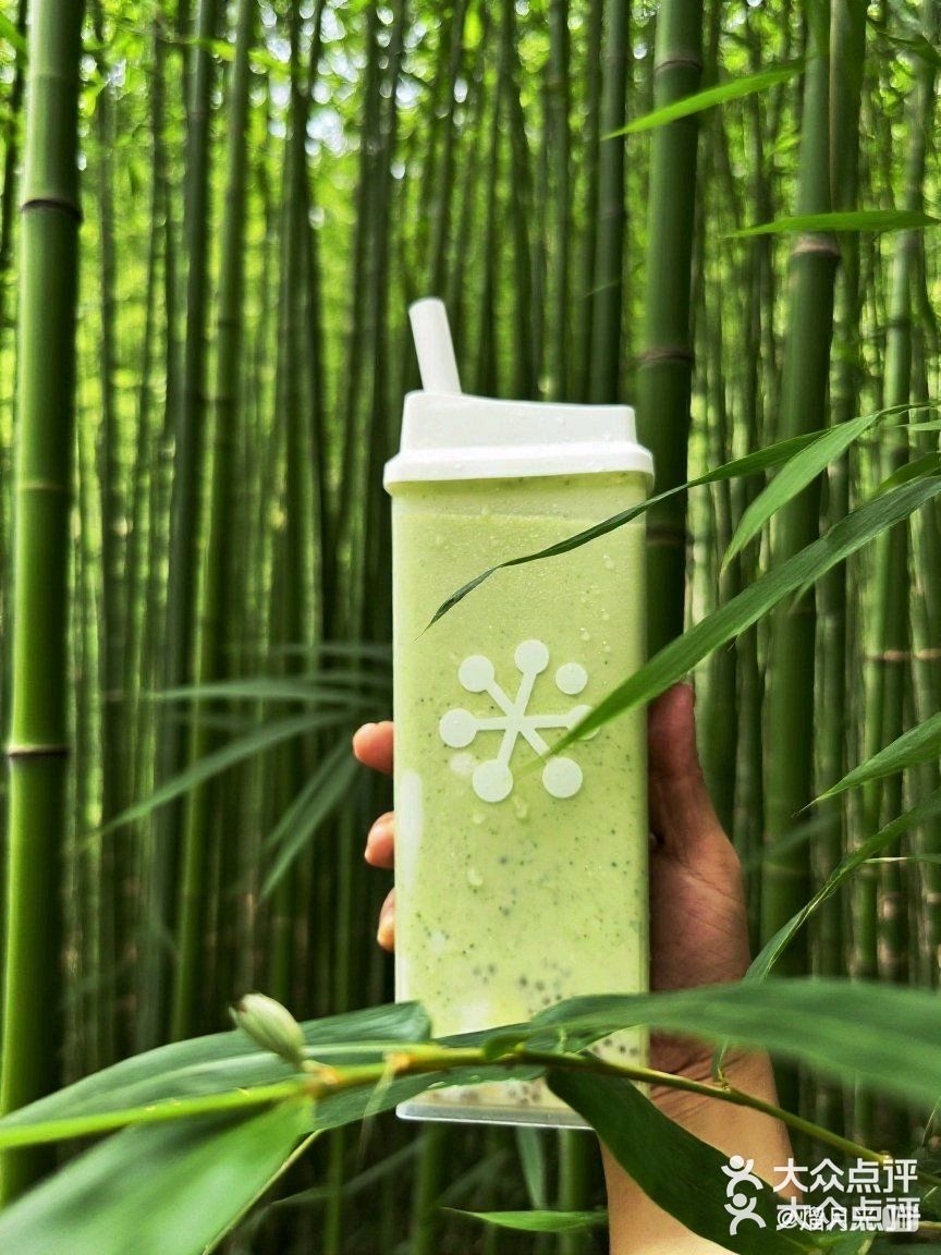 探索绿意世界