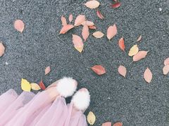 -上海怡沁园度假酒店