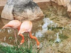 -昆明动物园