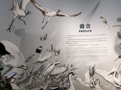 -中国湿地博物馆