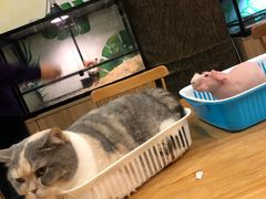 -藦茜花园宠物主题亲子互动体验馆(国顺东路店)