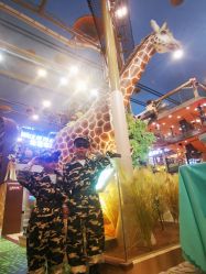 -卡通尼·Safari非洲探索乐园·生日会(金桥国际商业广场店)